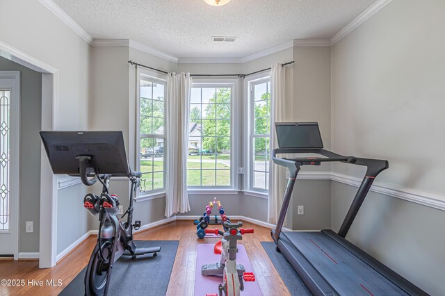 workout area with a textured ceiling, wood finished floors, and a wealth of natural light