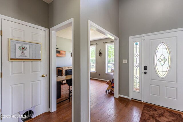 entryway featuring baseboards and dark wood-style flooring