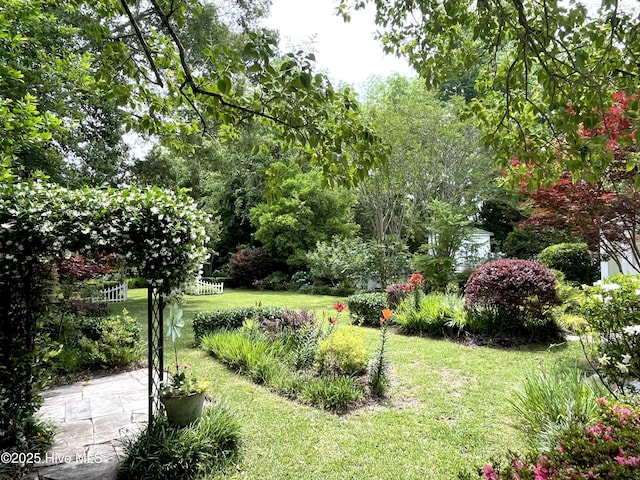 102 N 25th St, Wilmington, NC 28405 - view of grassy yard