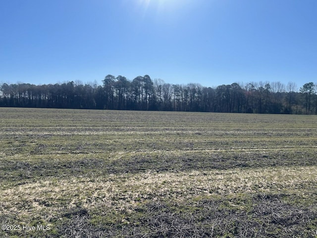 5635 Mckendree Church Rd, Tarboro, NC 27886 - view of nature with a rural view and a view of trees
