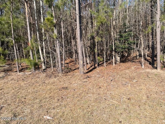 5635 Mckendree Church Rd, Tarboro, NC 27886 - view of nature