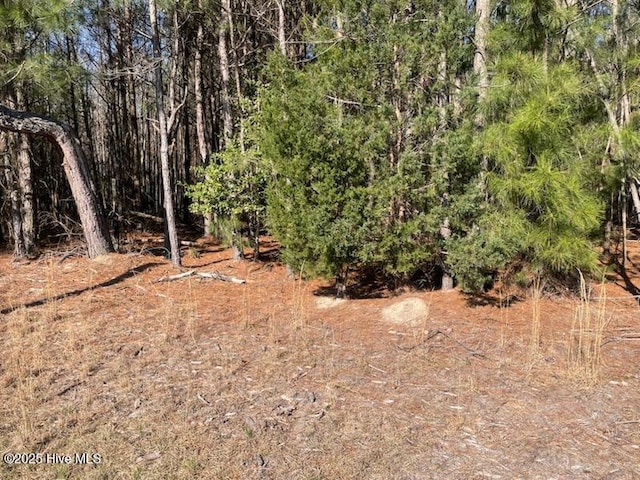 5635 Mckendree Church Rd, Tarboro, NC 27886 - view of nature featuring a view of trees