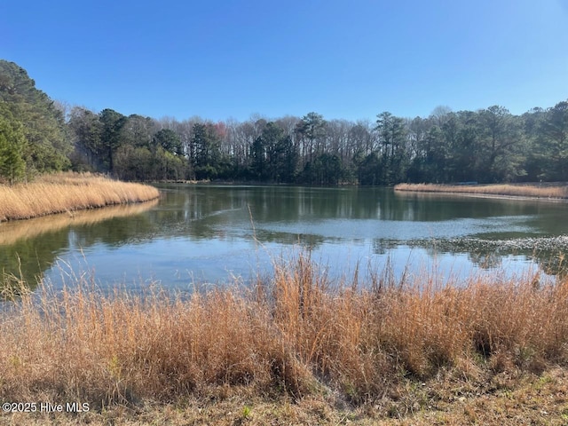 5635 Mckendree Church Rd, Tarboro, NC 27886 - view of water feature featuring a wooded view