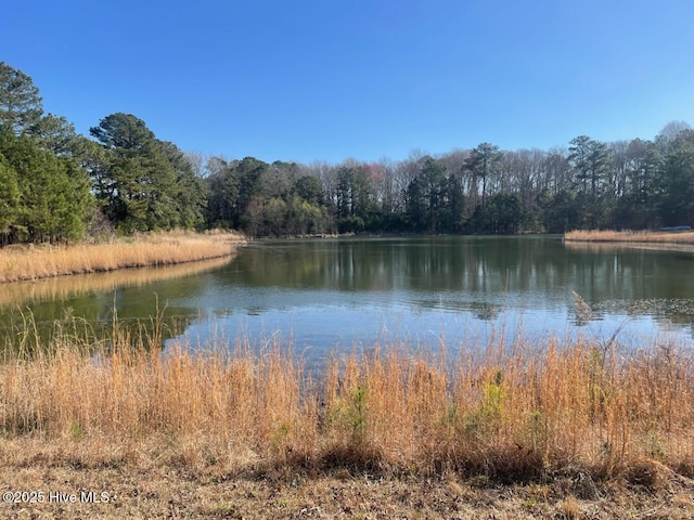 5635 Mckendree Church Rd, Tarboro, NC 27886 - property view of water featuring a view of trees