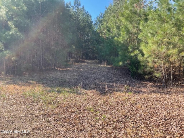 5635 Mckendree Church Rd, Tarboro, NC 27886 - view of landscape featuring a view of trees