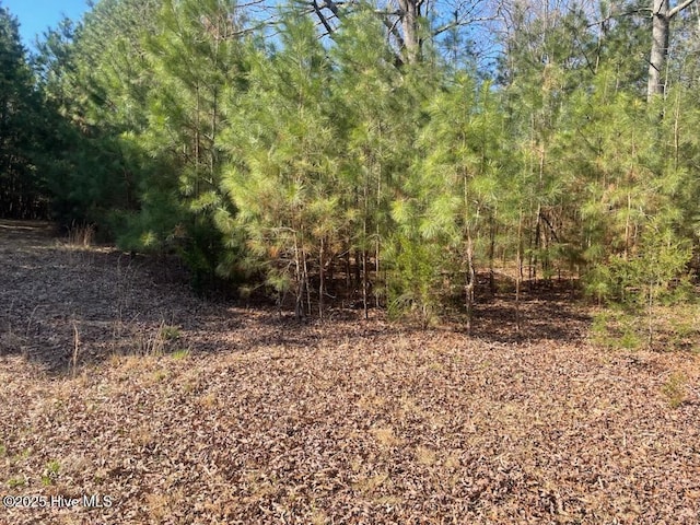 5635 Mckendree Church Rd, Tarboro, NC 27886 - view of local wilderness featuring a wooded view