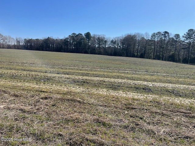 5635 Mckendree Church Rd, Tarboro, NC 27886 - view of local wilderness featuring a rural view and a forest view