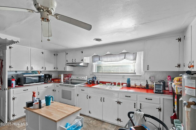 5635 Mckendree Church Rd, Tarboro, NC 27886 - kitchen featuring a sink, white range with electric cooktop, under cabinet range hood, stainless steel microwave, and white cabinetry