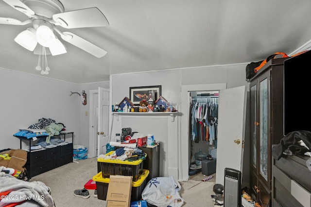 5635 Mckendree Church Rd, Tarboro, NC 27886 - bedroom featuring a closet, a ceiling fan, and carpet flooring