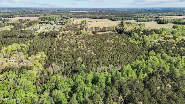 5635 Mckendree Church Rd, Tarboro, NC 27886 - aerial view featuring a forest view