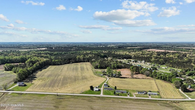 5635 Mckendree Church Rd, Tarboro, NC 27886 - drone / aerial view with a rural view