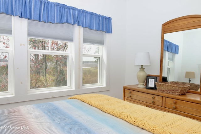 bedroom with multiple windows