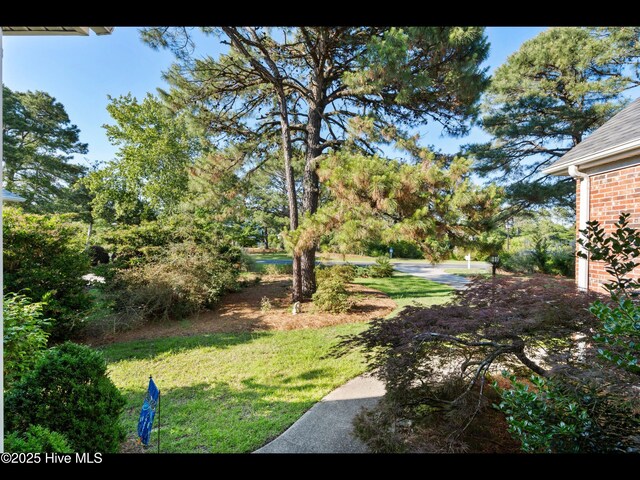 4404 Gauntlet Dr SE, Southport, NC 28461 - view of grassy yard
