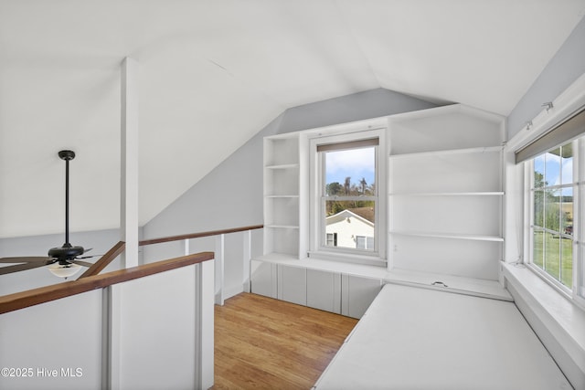 spacious closet featuring ceiling fan, vaulted ceiling, and light wood-type flooring