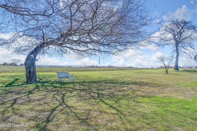 view of yard featuring a rural view