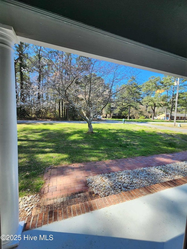 106 Hunters Trl E, Elizabeth City, NC 27909 - view of yard