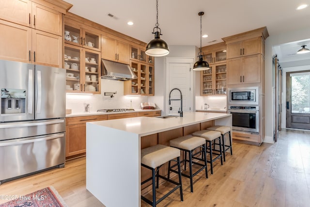 266 Twining Rose Ln, Holly Ridge, NC 28445 - kitchen featuring appliances with stainless steel finishes, a sink, light countertops, backsplash, and under cabinet range hood