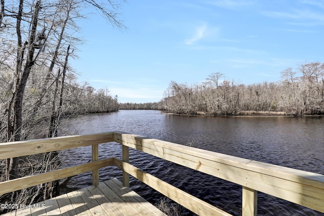 view of dock featuring a water view and a view of trees