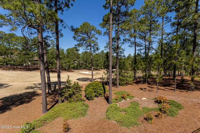 86 Sakonnet Trl, Pinehurst, NC 28374 - view of yard featuring view of wooded area