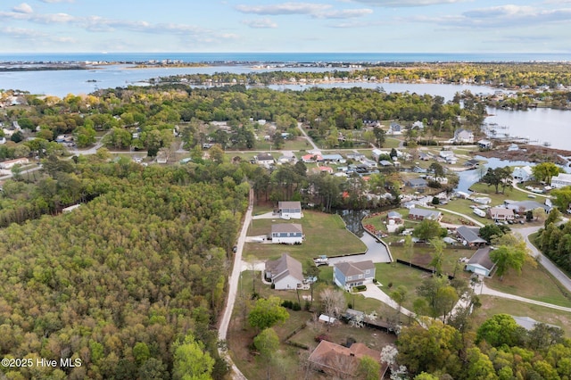 442 Crows Nest Ln, Sneads Ferry, NC 28460 - aerial overview of property's location with a nearby body of water, nearby suburban area, and a heavily wooded area