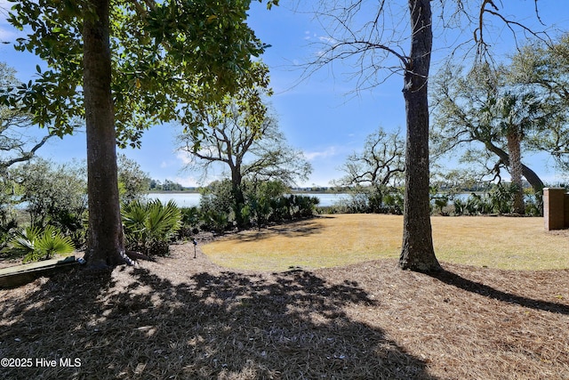 1409 Landfall Dr, Wilmington, NC 28405 - view of green lawn with a water view