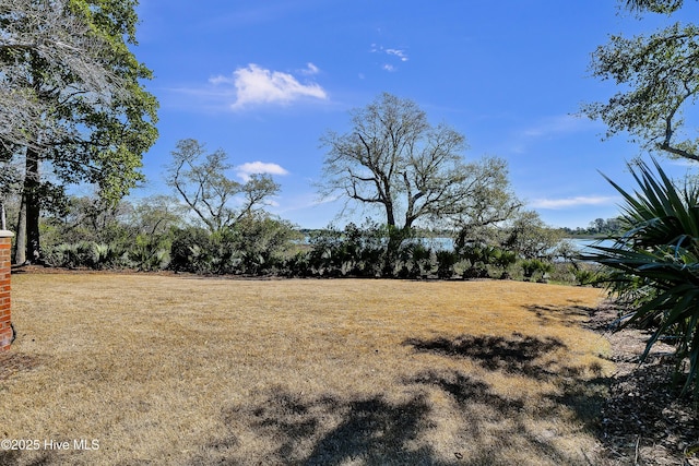 1409 Landfall Dr, Wilmington, NC 28405 - view of yard
