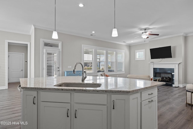 kitchen featuring a sink, open floor plan, white cabinetry, a ceiling fan, and wood finished floors