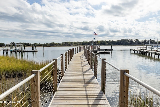 dock area with a water view