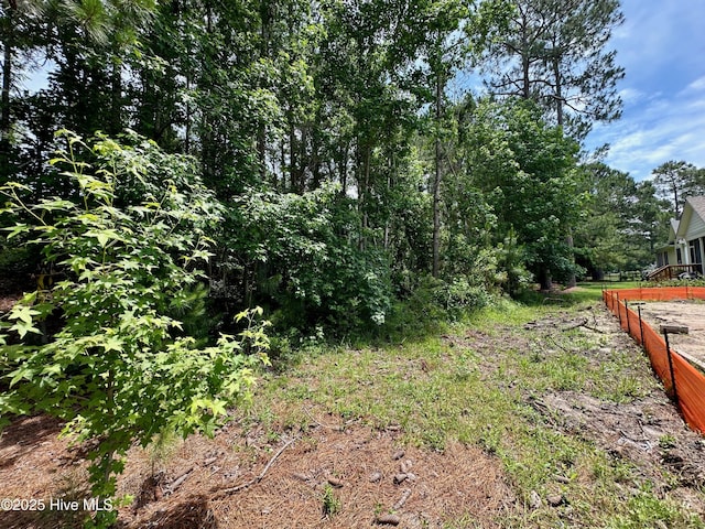 1462 Pinecroft Ln SE, Bolivia, NC 28422 - view of local wilderness