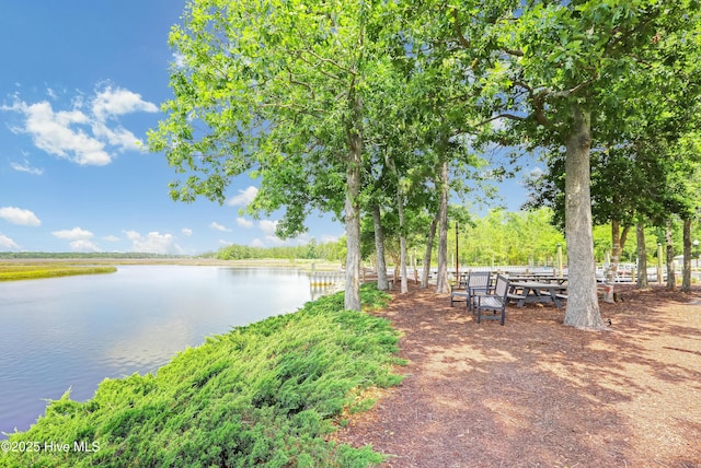 1462 Pinecroft Ln SE, Bolivia, NC 28422 - surrounding community featuring a water view
