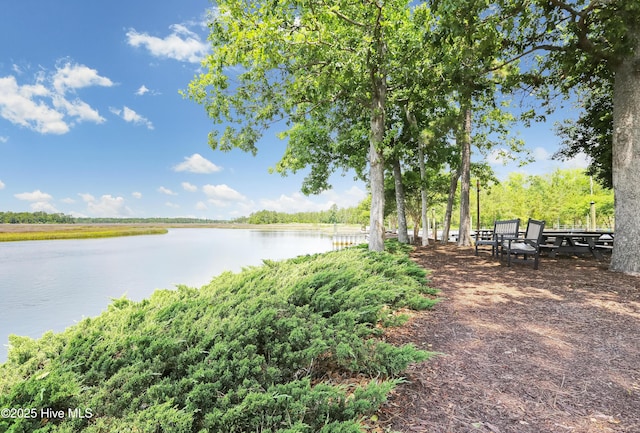 1462 Pinecroft Ln SE, Bolivia, NC 28422 - water view