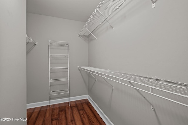 424 Commerce Ave Unit B, Morehead City, NC 28557 - spacious closet with wood finished floors