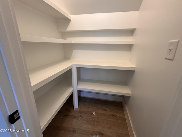 163 Noramac Ct, Selma, NC 27576 - view of pantry