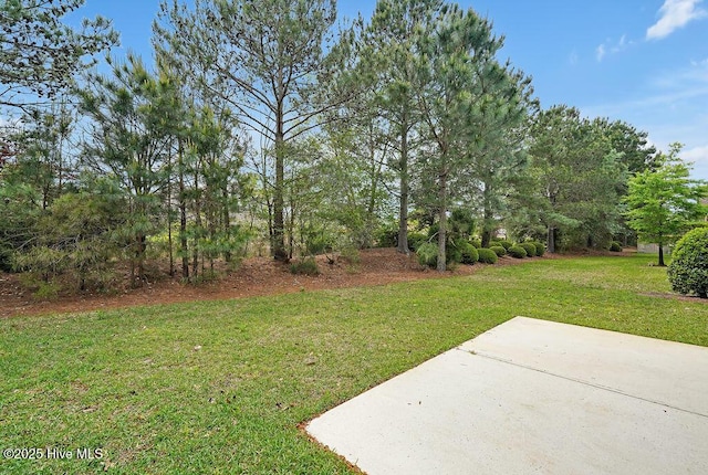 4021 Alastaire Cv, Leland, NC 28451 - view of yard with a patio