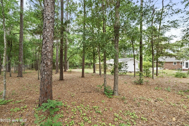 211 E 11th St, Southport, NC 28461 - view of yard