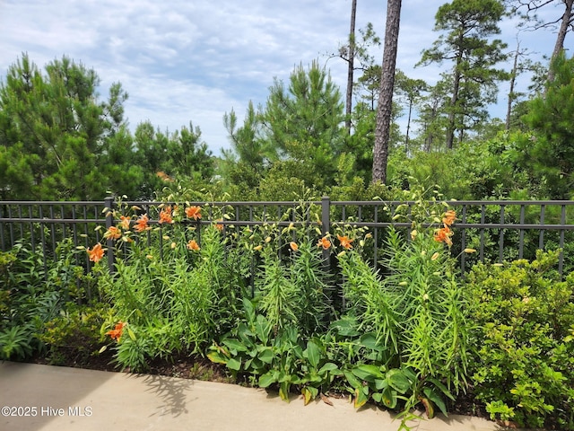 1443 Ellsworth Dr SW, Ocean Isle Beach, NC 28469 - view of yard