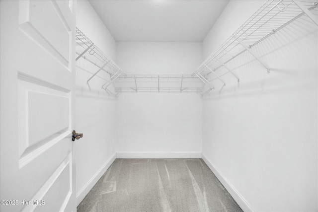 spacious closet with carpet floors
