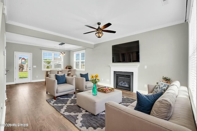 living area featuring crown molding, a glass covered fireplace, a ceiling fan, baseboards, and wood finished floors