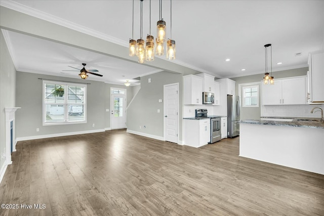 kitchen featuring a sink, ceiling fan with notable chandelier, stainless steel appliances, open floor plan, and white cabinetry