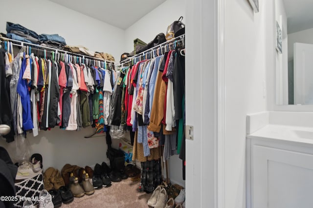 1550 Murre Ct SE, Bolivia, NC 28422 - spacious closet with carpet floors and a sink