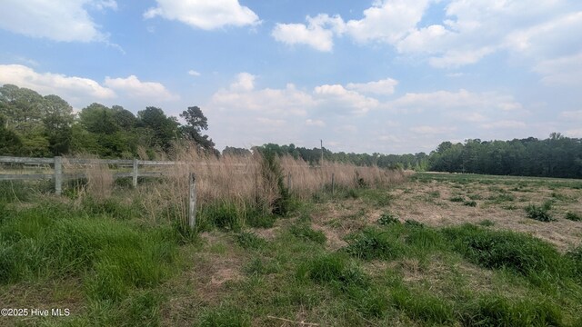 2957 Cypress Church Rd, Cameron, NC 28326 - view of nature featuring a rural view
