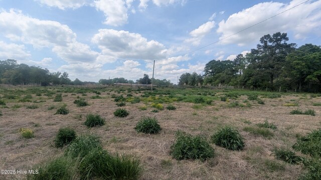 2957 Cypress Church Rd, Cameron, NC 28326 - view of local wilderness with a rural view