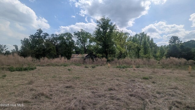 2957 Cypress Church Rd, Cameron, NC 28326 - view of local wilderness