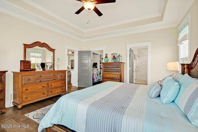 bedroom with a raised ceiling, dark wood-style flooring, and multiple windows