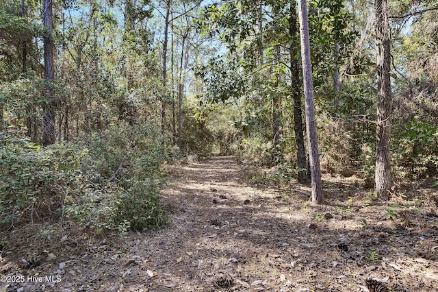 view of landscape with a forest view