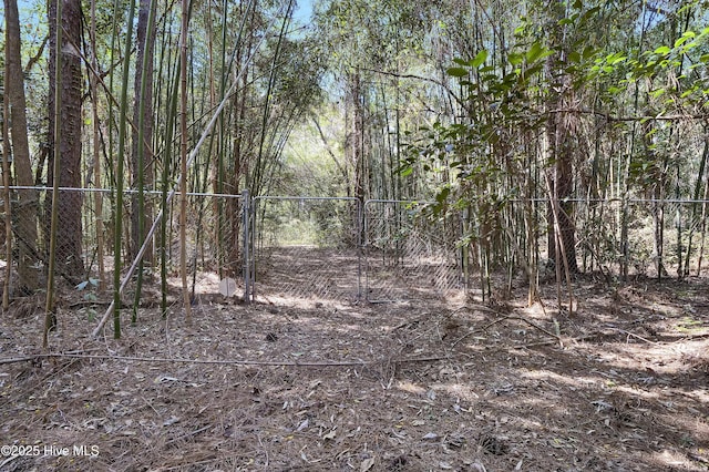 view of nature