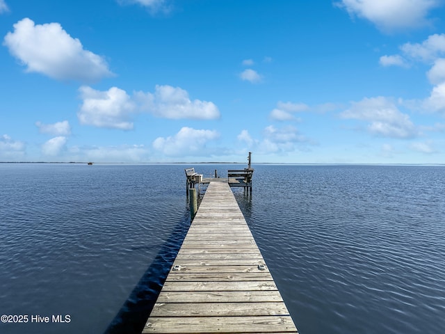 dock area with a water view
