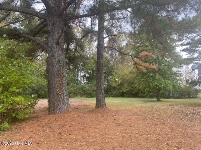 413 Pecan St Unit 5, Robersonville, NC 27871