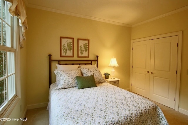 carpeted bedroom with ornamental molding, a closet, multiple windows, and baseboards
