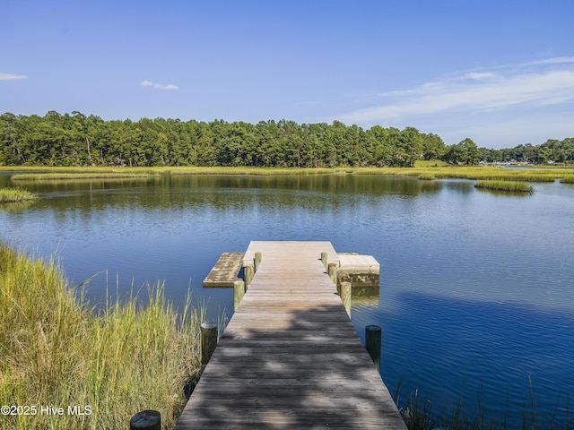 view of dock featuring a water view